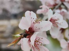 -三里河公园
