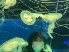 -左海海底世界