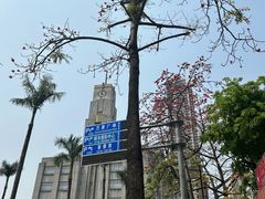 -珠江夜游省总码头