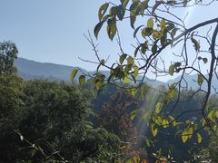 -塔川景区