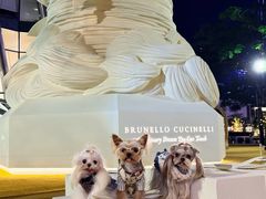 -深圳湾万象城(南山店)