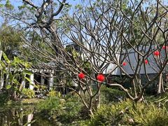 -厦门园林博览苑