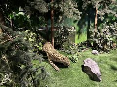 -吉林省自然博物馆