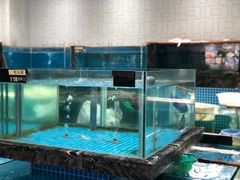 水产区-龙源九号花园酒店(叶埠桥店)