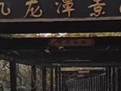 -九龙潭景区