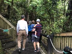 -怀托摩萤火虫洞