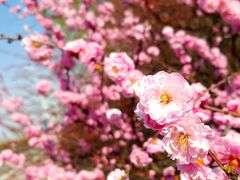 -大庆石油科技馆