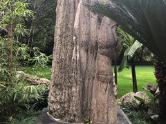 -复旦大学附属华山医院(总院)