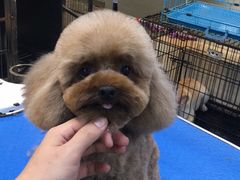 -转角宠物(转塘方家苑店)