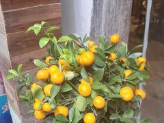 -陌上花开餐厅(云山路店)