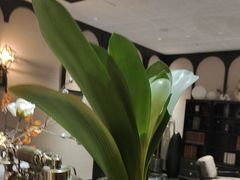 -万泊酒店(长沙五一广场国金中心店)