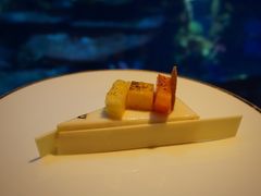 -迪拜帆船酒店海底餐厅