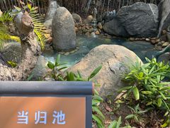 -龙佳生态温泉山庄