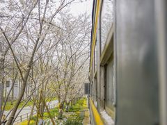 -新天地活力PARK