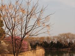 -苏州太湖国家湿地公园