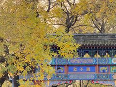-北京国子监胡同