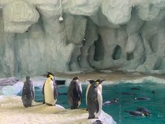-珠海长隆海洋王国
