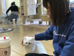-猫和宫(六道口店)