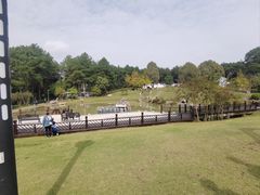 -铁山坪森林公园