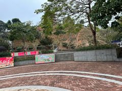 -清溪大王山森林公园