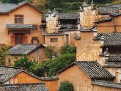 -杨家堂村