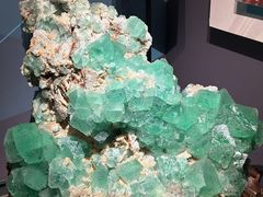 -湖南省地质博物馆