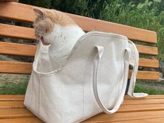 -瑞鹏宠物医院·宠保定点·心脏科·内科(御桥分院)