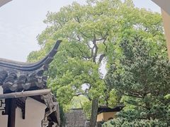 -西园戒幢律寺