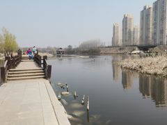 -前关湿地公园
