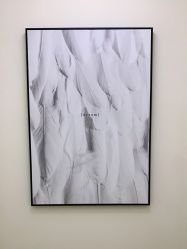 -VE专注问题肌·赛诺龙&科学美肤中心