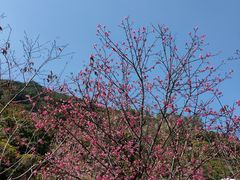 -小南山公园