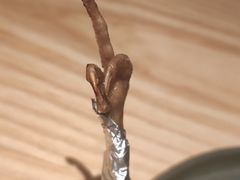 炭烤鸽腿-人间酒暖·Go blanc·烧鸟·深夜食堂(陆家嘴店)