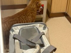 -康旭宠物医院(郑州总院)