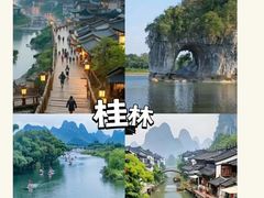 -西双版纳原始森林公园