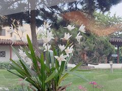 -亮马河饭店翠雅咖啡厅