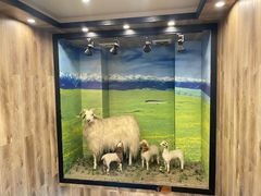 -清真·益鑫羊肉手抓馆(花园北街店)