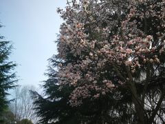 -白塘生态植物园