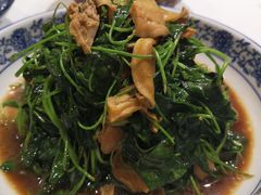 蚌肉金花菜-老阊门菜馆(山塘街店)