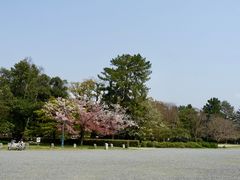 -京都御所