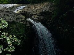 -龙苍沟森林公园