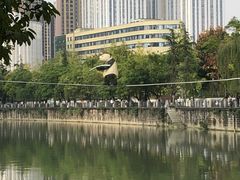 -成都市活水公园
