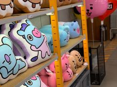 -line friends(明洞旗舰店)