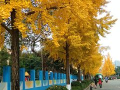 -四川大学(望江校区)