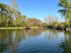 -溱湖国家湿地公园