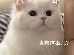 -云晓光头烧烤吧(盛夏店)