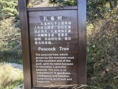 -金龙寺国家森林公园