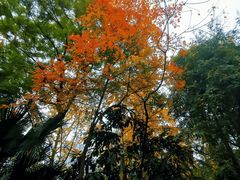 -成都市活水公园