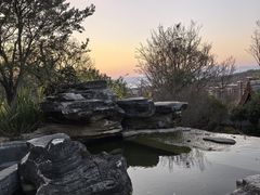 -七彩云南古滇温泉山庄