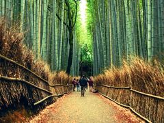 -天龙寺