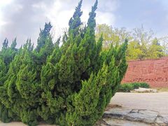 -元大都城垣遗址公园